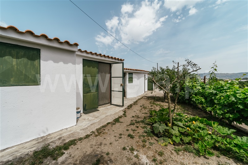 Quinta  com Agrícola Covilhã, Boidobra - 1410442 - 31