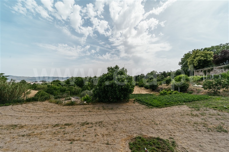 Quinta  com Agrícola Covilhã, Boidobra - 1410442 - 32


