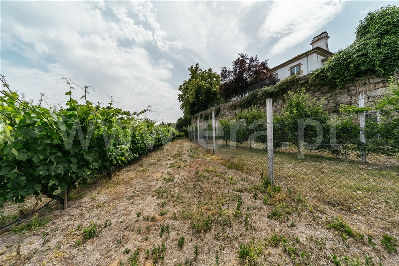 Quinta  com Agrícola Covilhã, Boidobra - 1410442 - 43