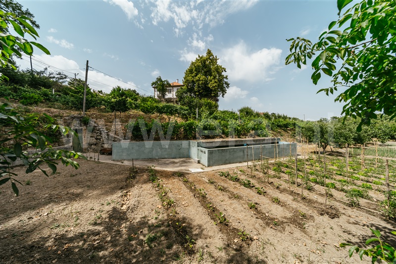 Quinta  com Agrícola Covilhã, Boidobra - 1410442 - 50