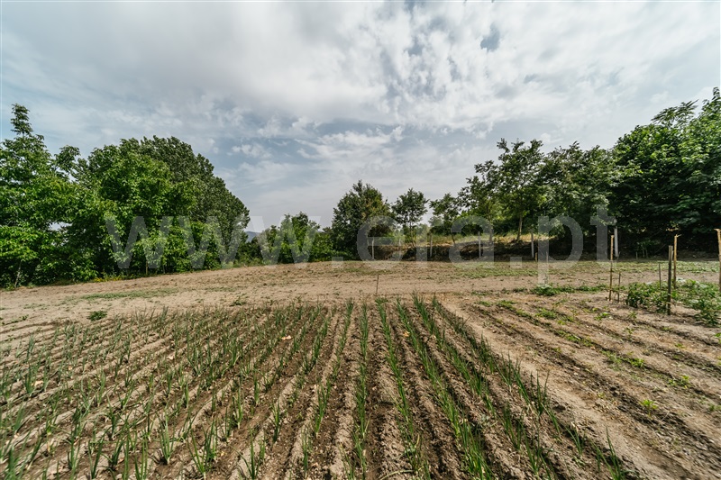 Quinta  com Agrícola Covilhã, Boidobra - 1410442 - 56