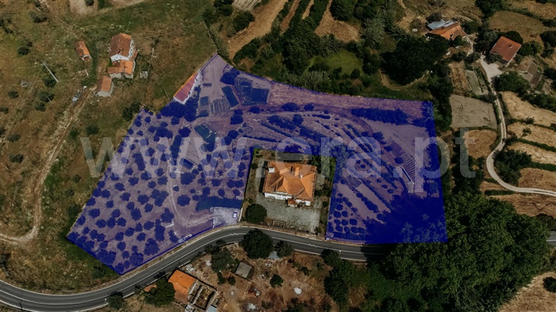 Quinta  com Agrícola Covilhã, Boidobra - 1410442 - 61