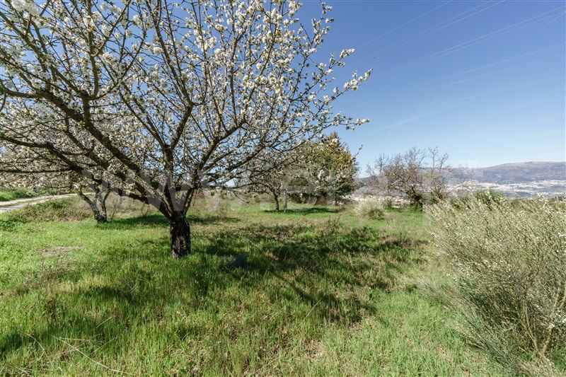 Quinta Estúdio / Covilhã, Ferro