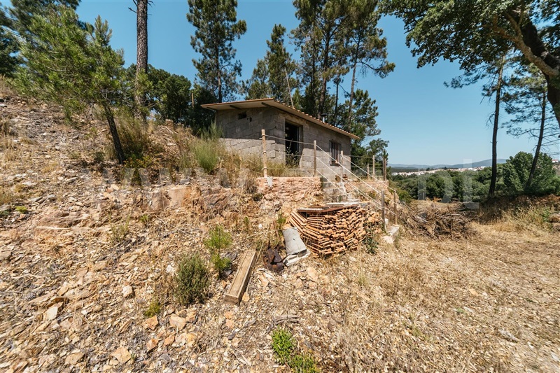Quinta T0 Covilhã, Ourondo - 1490199 - 16
