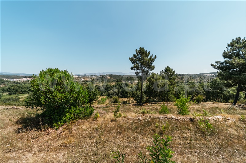 Quinta  Covilhã, Ourondo - 1491198 - 26