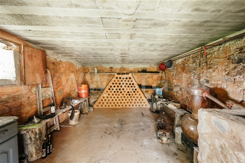Quinta  Covilhã, Ourondo - 1491198 - 41