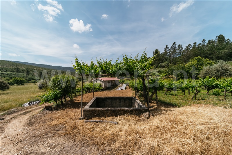 Quinta Estúdio / Covilhã, Serra da Estrela