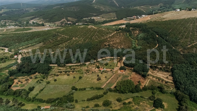 Quinta T0 Covilhã, Serra da Estrela - 1421874 - 2