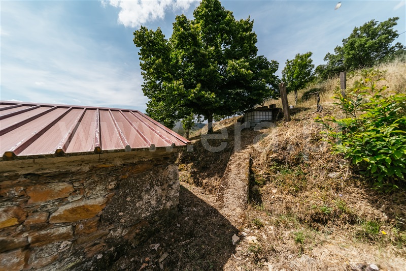 Quinta T0 Covilhã, Serra da Estrela - 1421874 - 4