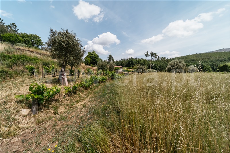 Quinta T0 Covilhã, Serra da Estrela - 1421874 - 5