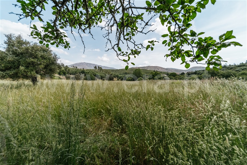 Quinta T0 Covilhã, Serra da Estrela - 1421874 - 7