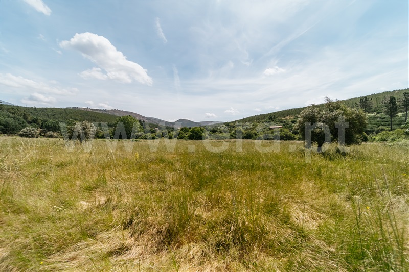 Quinta T0 Covilhã, Serra da Estrela - 1421874 - 8