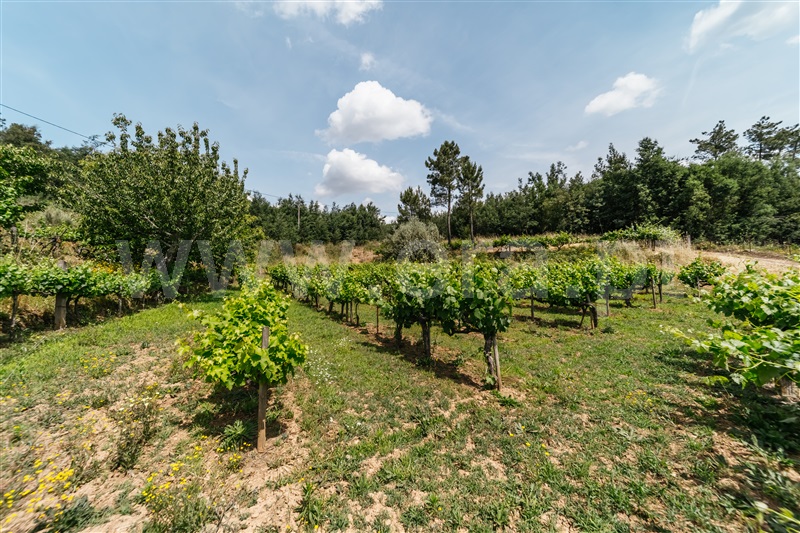 Quinta T0 Covilhã, Serra da Estrela - 1421874 - 11