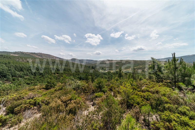 Quinta T0 Covilhã, Serra da Estrela - 1421874 - 11