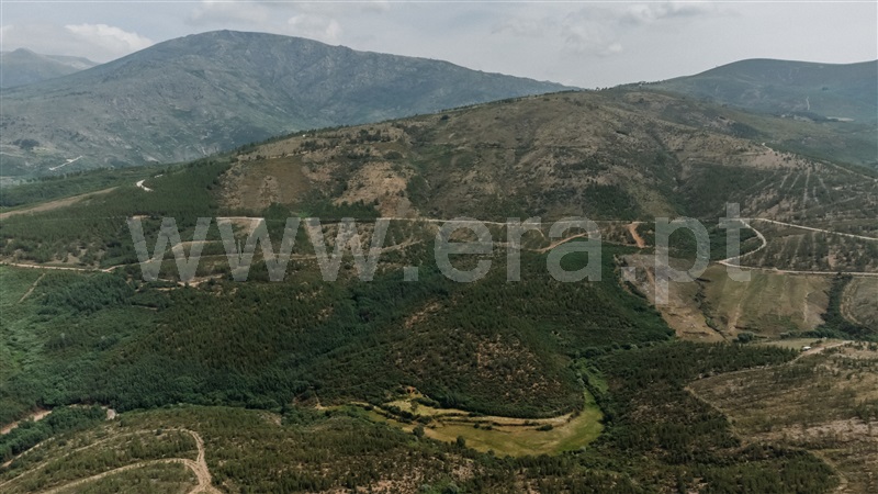 Quinta  Covilhã, Serra da Estrela - 1426610 - 4