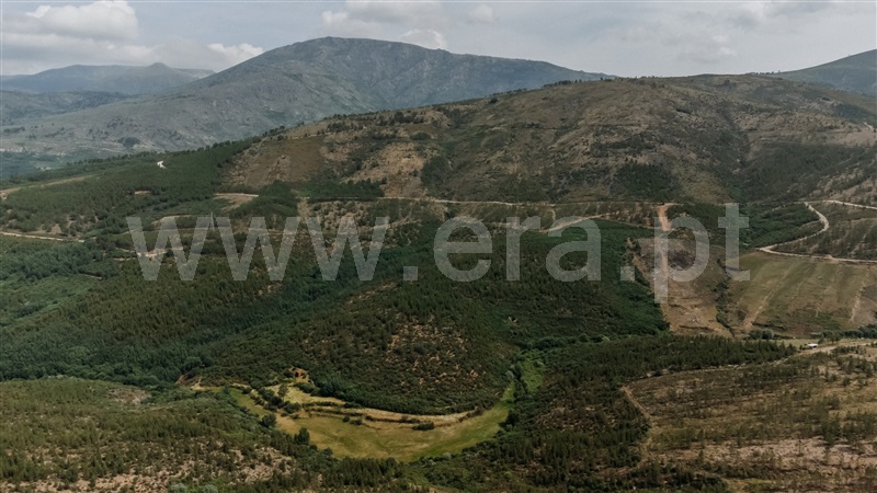 Quinta  Covilhã, Serra da Estrela - 1426610 - 6