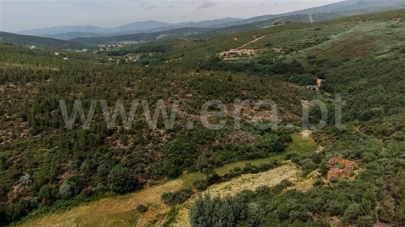 Quinta  Covilhã, Serra da Estrela - 1426610 - 11