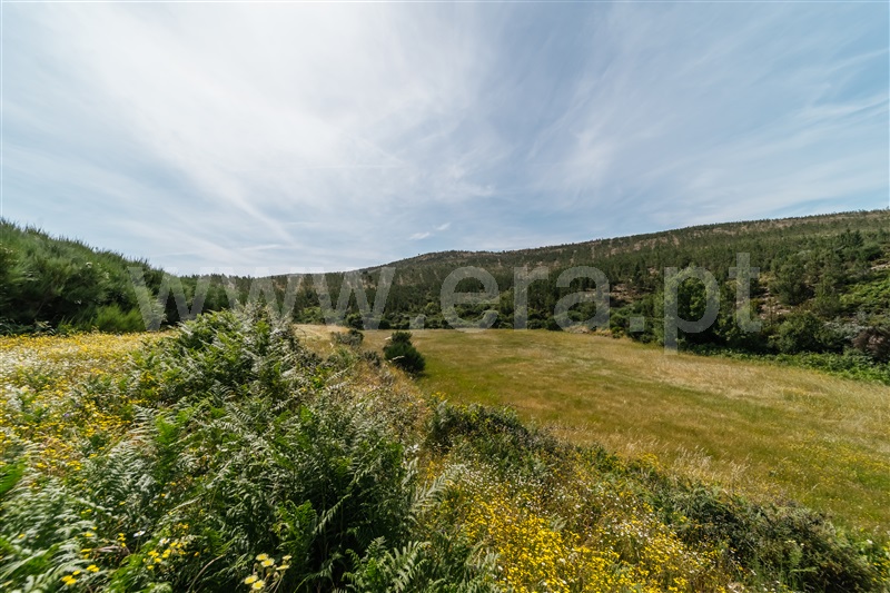 Quinta  Covilhã, Serra da Estrela - 1426610 - 13