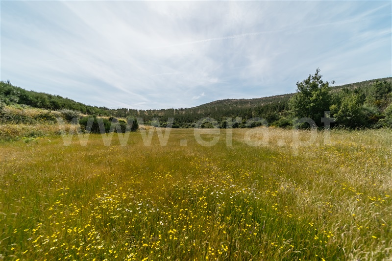 Quinta  Covilhã, Serra da Estrela - 1426610 - 15