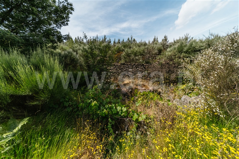 Quinta  Covilhã, Serra da Estrela - 1426610 - 17