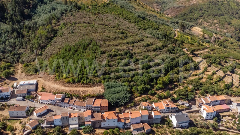 Quinta  Fundão, Alcongosta - 1505339 - 2