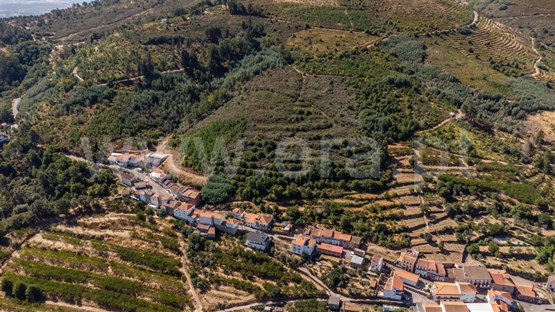 Quinta  Fundão, Alcongosta - 1505339 - 3