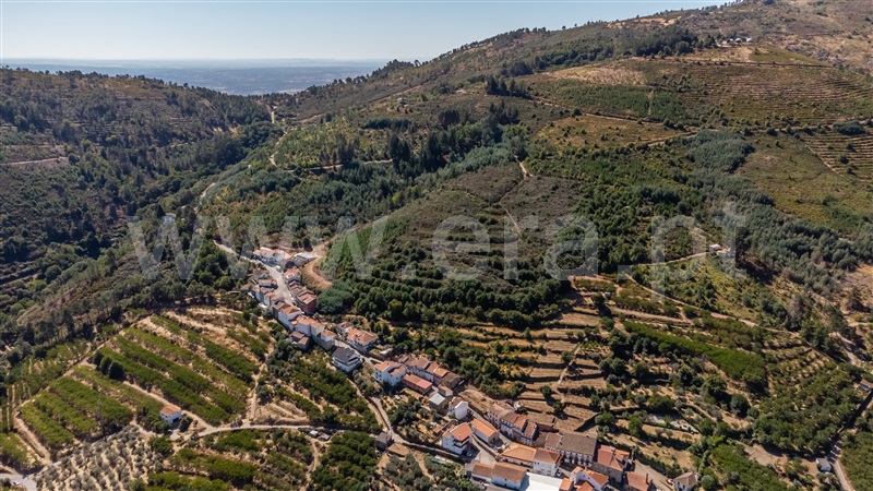 Quinta  Fundão, Alcongosta - 1505339 - 4