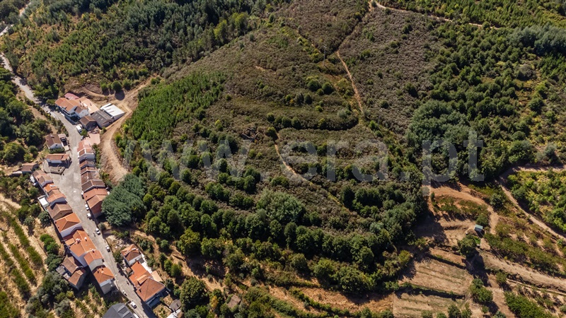 Quinta  Fundão, Alcongosta - 1505339 - 5