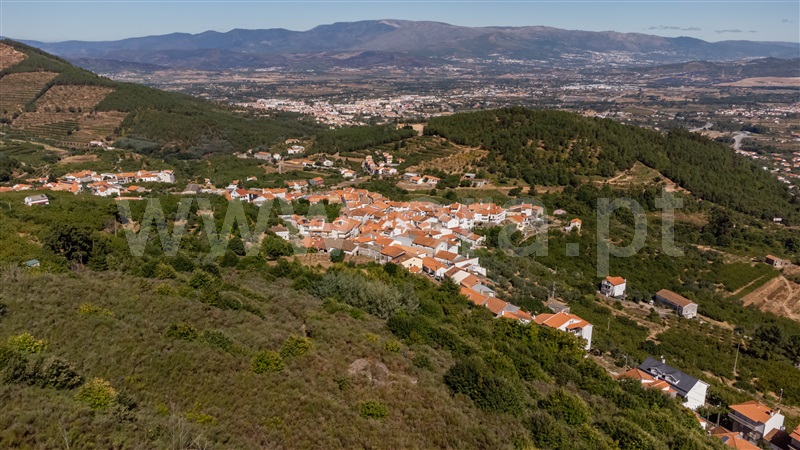 Quinta  Fundão, Alcongosta - 1505339 - 10