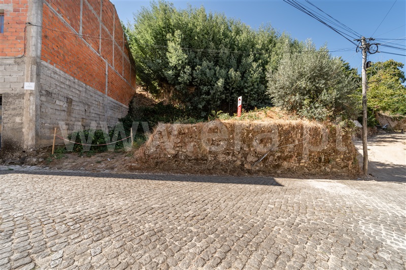 Quinta / Fundão, Alcongosta