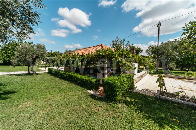 Quinta  Fundão, Aldeia Nova - 1428429 - 8