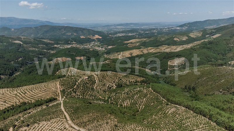 Quinta T0 com Agrícola Fundão, Castelejo - 1452754 - 23