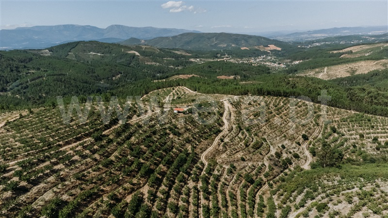 Quinta T0 com Agrícola Fundão, Castelejo - 1452754 - 30
