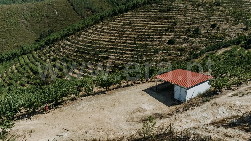 Quinta T0 com Agrícola Fundão, Castelejo - 1452754 - 35