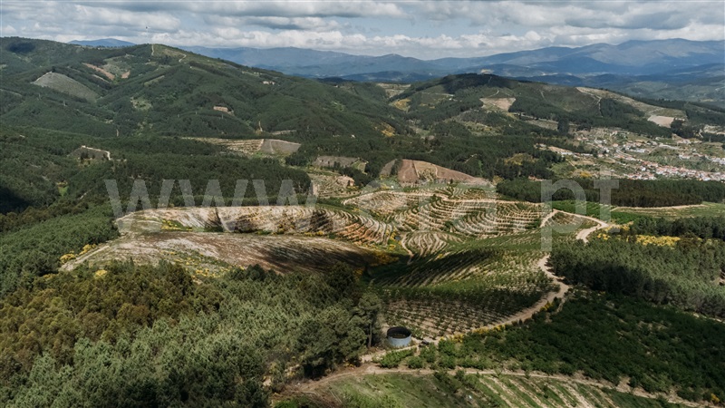 Quinta T0 com Agrícola Fundão, Castelejo - 1452754 - 38