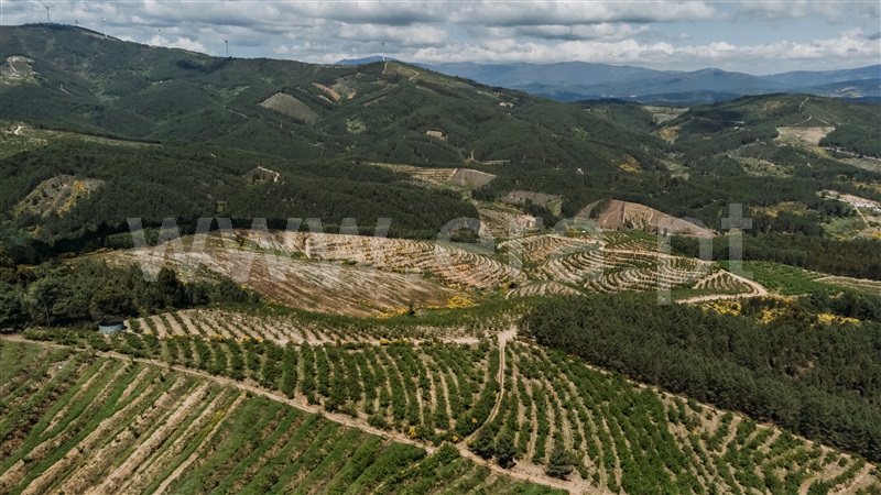 Quinta T0 com Agrícola Fundão, Castelejo - 1452754 - 40