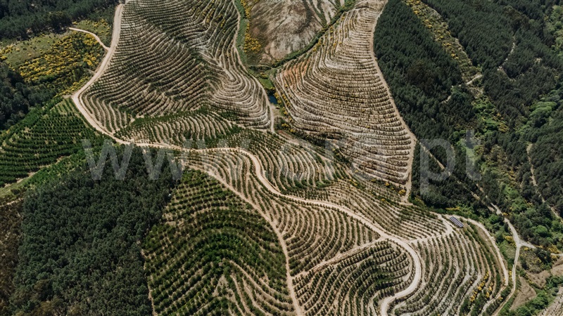 Quinta T0 com Agrícola Fundão, Castelejo - 1452754 - 47