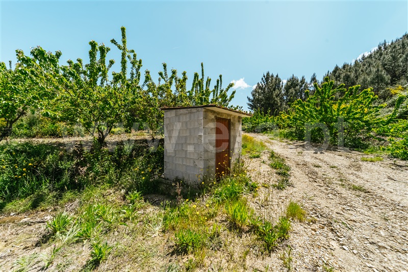 Quinta T0 com Agrícola Fundão, Castelejo - 1452754 - 61
