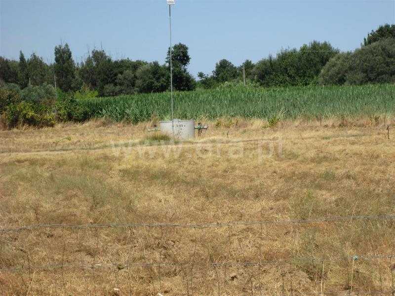Quinta  Fundão, Enxames - 667801 - 3
