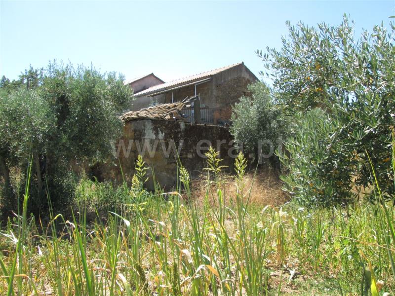 Quinta  Fundão, Enxames - 667801 - 5
