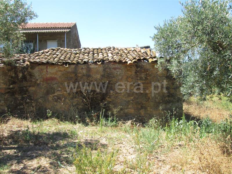 Quinta  Fundão, Enxames - 667801 - 6