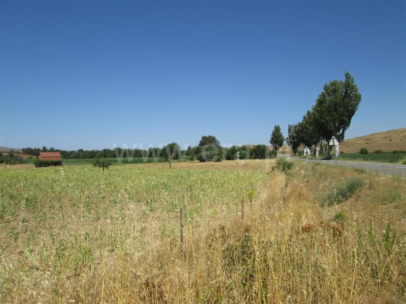 Quinta  Fundão, Enxames - 667801 - 7