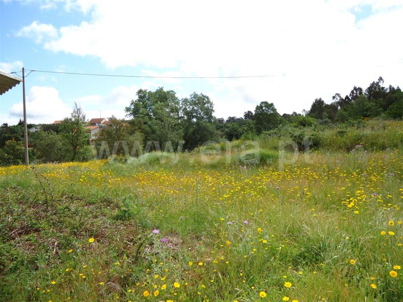 Quinta  Fundão, Fatela - 513608 - 2
