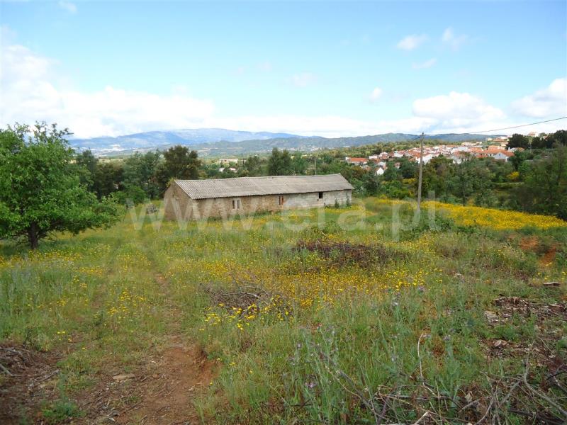 Quinta  Fundão, Fatela - 513608 - 4