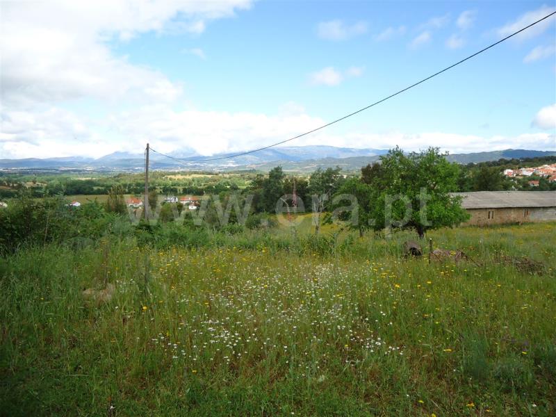 Quinta  Fundão, Fatela - 513608 - 7