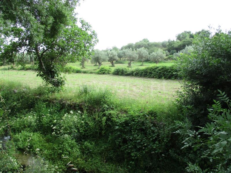 Quinta  Fundão, Póvoa da Atalaia - 734589 - 3