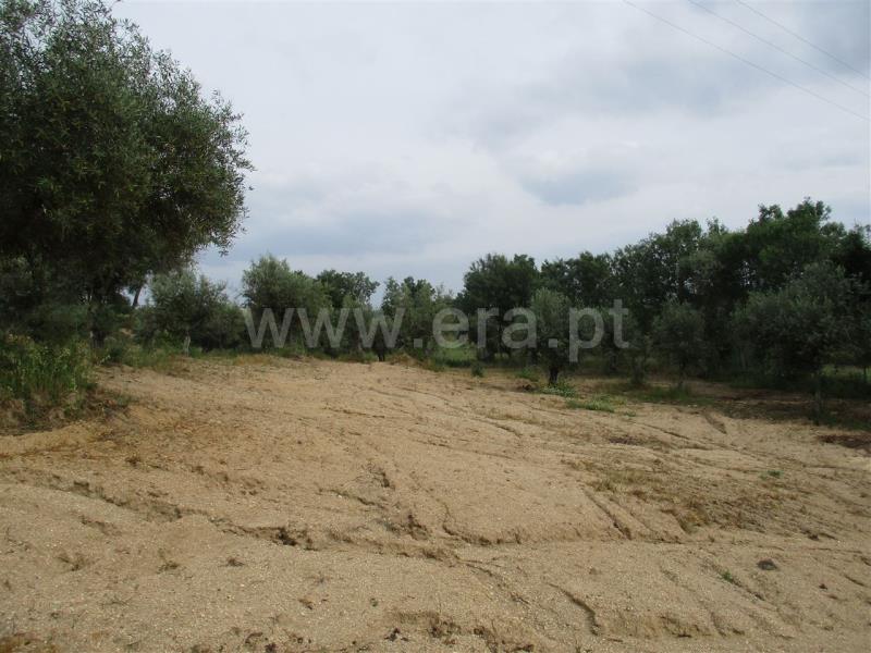 Quinta  Fundão, Póvoa da Atalaia - 734589 - 5