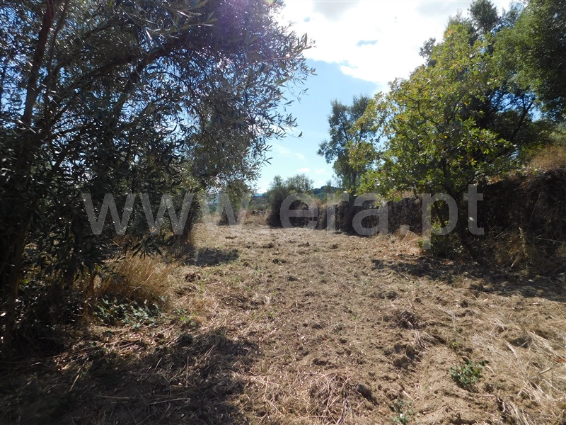 Quinta  Fundão, Quintãs - 1436687 - 1