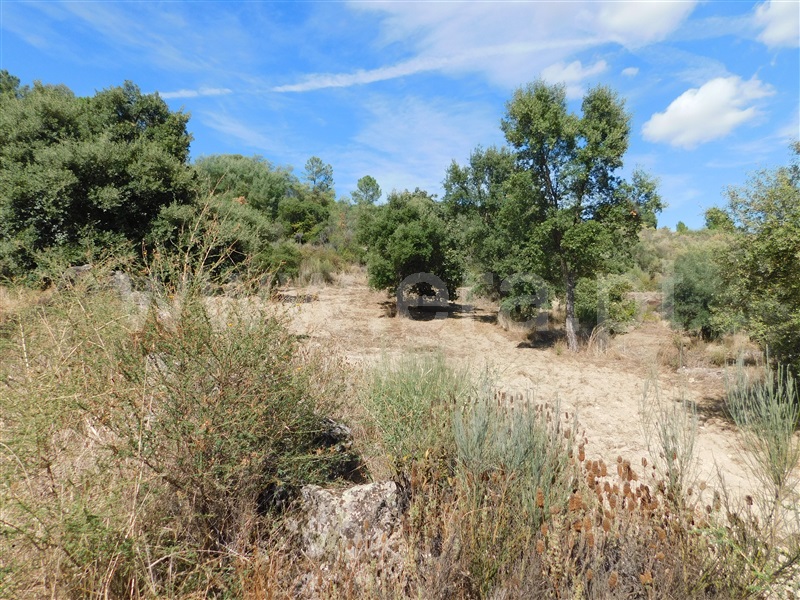 Quinta  Fundão, Quintãs - 1436687 - 4