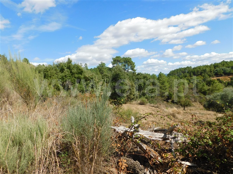Quinta  Fundão, Quintãs - 1436687 - 8